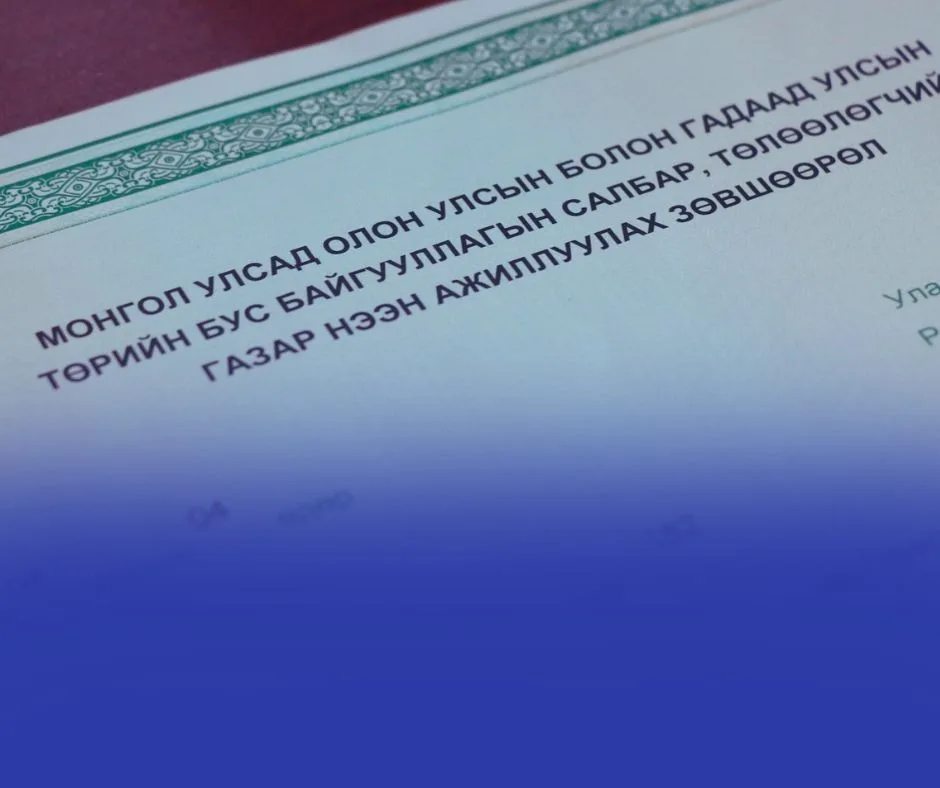 Монголд 17 улсын 74 олон улсын болон гадаад улсын төрийн бус байгууллагын салбар, төлөөлөгчийн газар үйл ажиллагаа явуулж байна
