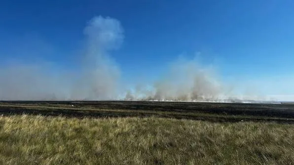 Дорнод аймгийн Матад суманд гарсан ой хээрийн түймрийг бүрэн унтраажээ