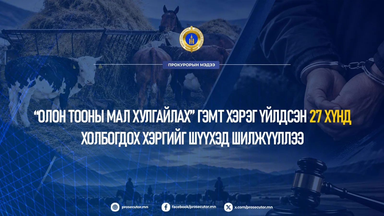 “Олон тооны мал хулгайлах” гэмт хэрэг үйлдсэн 27 хүнд холбогдох хэргийг шүүхэд шилжүүллээ