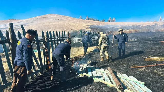 Нийслэлийн ногоон бүсэд шар өвсний түймэр гарч, 7 га талбай шатжээ