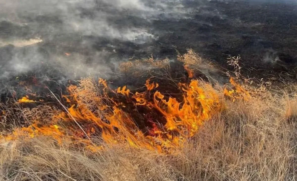 Ой, хээрийн түймэр тавих хэргүүдийг шүүхээр шийдвэрлүүлжээ