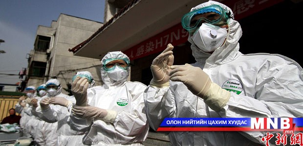Шувууны H7N9 вирус илэрчээ