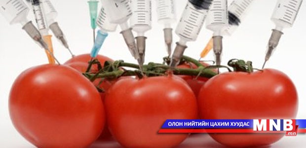 Хувиргасан амьд организм гэж юу вэ?
