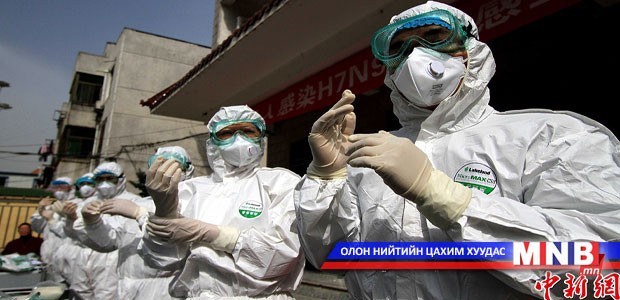 Шувууны томуу гарсаар байна