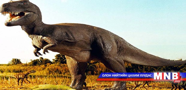 Үлэг гүрвэл буюу динозаврын тухай