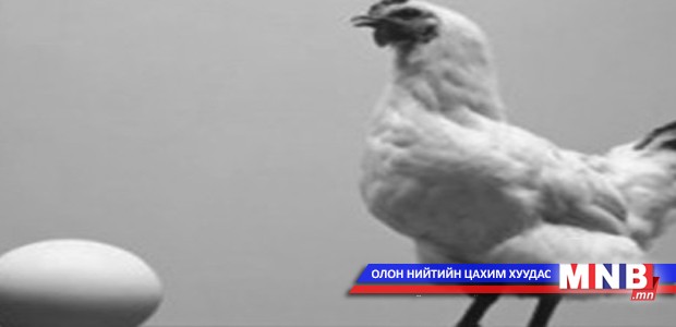 Өндөг анхдагч уу, тахиа анхдагч уу?