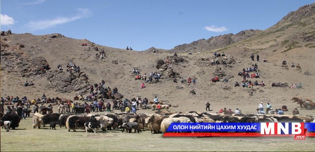 Өмнөговь аймаг 1,6 сая толгой малтай болжээ