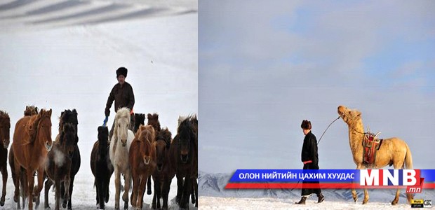 “Морин жилийн хийморь” -ийг бадраана