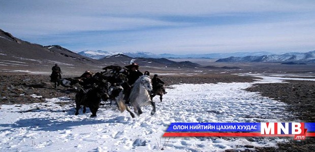 Чоно агнах нь мэргэжил болжээ