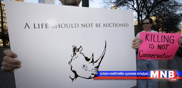 Хар хирс агнах зөвшөөрлийг 350,000 ам.доллараар заржээ