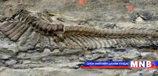 Чулуужсан ясны худалдаачин хэргээ хүлээжээ