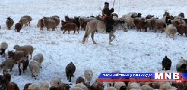 Малын хулгай гаарч байна