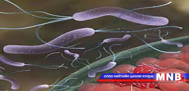 Хеликобактерийг хэрхэн дарах вэ?