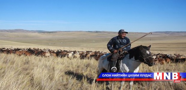 Хөвсгөл аймаг малаа тооллоо