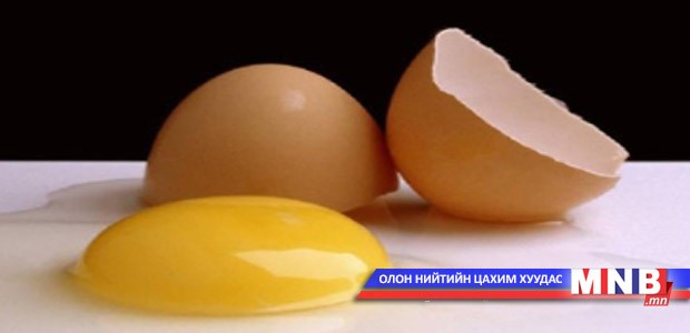 Өндөгний хальс кальц дутагдлыг нөхнө