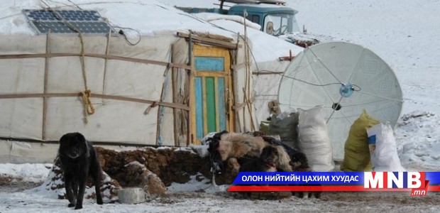 Булган аймагт өвөлжилт өнтэй байна