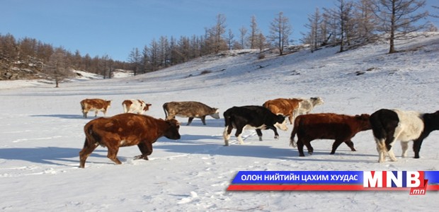 Халдварын голомтод 105 албан хаагч ажиллаж байна