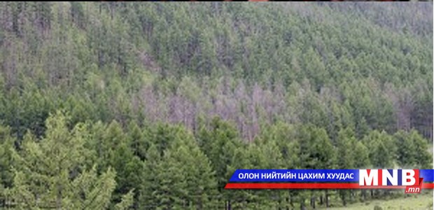 Ойн цэвэрлэгээг Төв аймгаас эхлүүлнэ