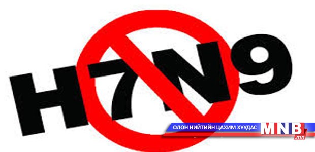 H7N9 вирусын эсрэг вакцин гаргажээ