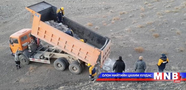 Аргаль, янгир усгүйдэж байна