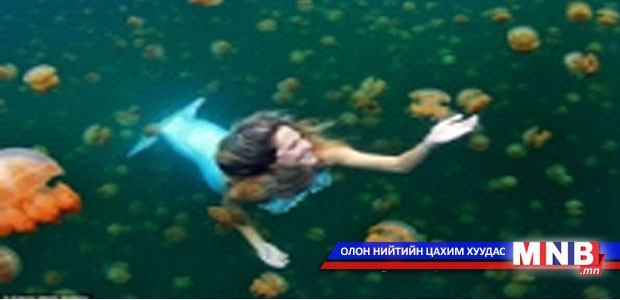 Лусын дагина амьдарсаар байна