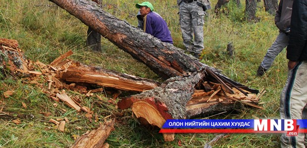 "Ойн цэвэрлэгээ" хөтөлбөрийг баталлаа