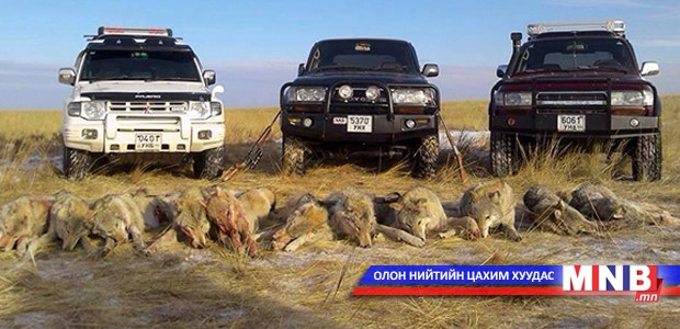 Хууль бусаар ан хийвэл хохирлын хэмжээнээс хамаарч Эрүүгийн хариуцлага хүлээлгэнэ