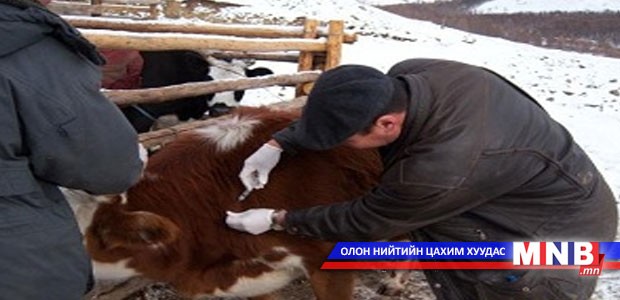 Дорнод аймагт нэг хүн алга болжээ
