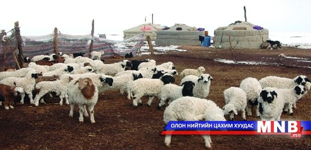 Малчдын тэтгэврийн насыг наашлуулахгүй