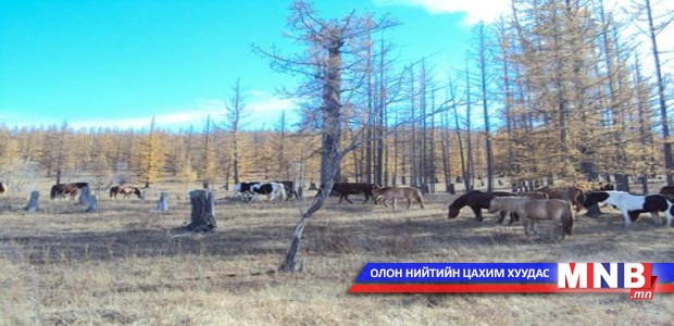 Орон нутгийн байцаагчид цалингийн зэрэглэлээ нэмэгдүүлэхийг хүслээ