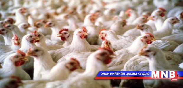 Гарал үүсэл нь тодорхойгүй өндөг, тахианы махыг устгав