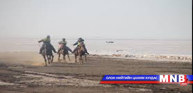 Орон нутагт 41 хүүхэд мориноос унаж бэртжээ