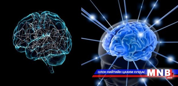 Хүний тархины ой санамжийг сэргээдэг болно