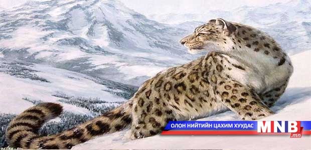 Ирвэсийн судалгаа хийлээ