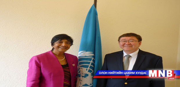 Хүний эрхийн дээд комиссарын үйл ажиллагаанд хандив өгнө