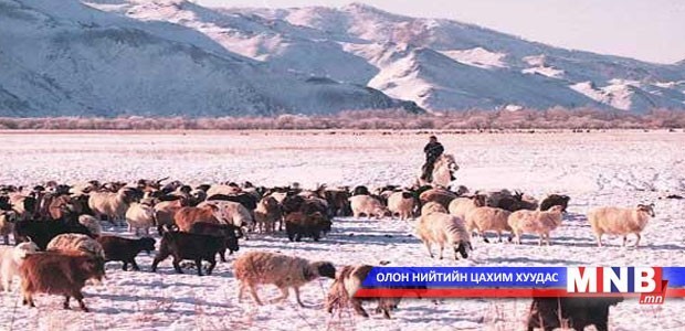 Галзуу өвчин гарсан сумдад хорио цээрийн дэглэм үргэлжилж байна