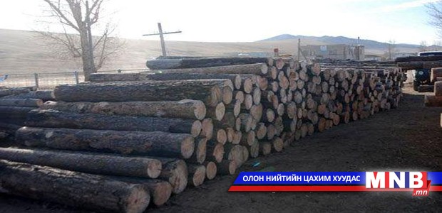 Хууль бусаар мод бэлтгэсэн компанид хуулийн хариуцлага хүлээлгэнэ