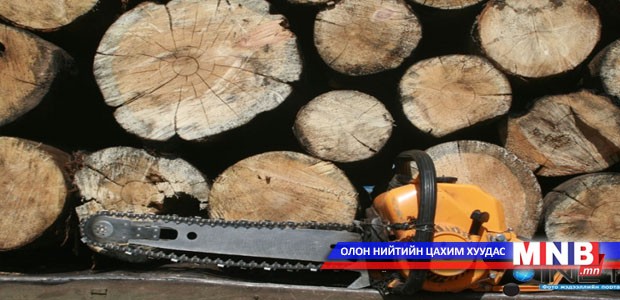 Их хэмжээний нойтон мод огтолсон хэргийн талаар мэдээлнэ