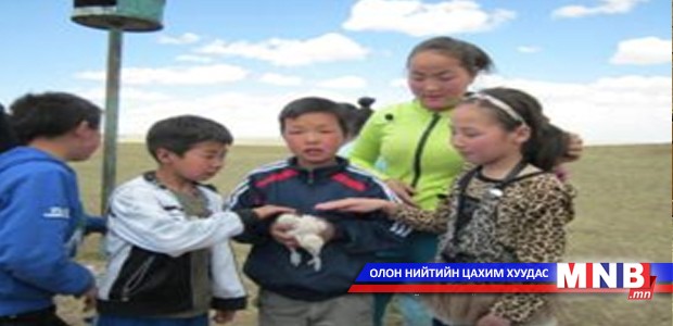 Гадаадын 12 сургуультай харилцаатай боллоо