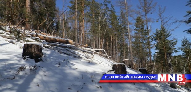 Модны гарал үүслийн бичгийг орон нутагт нь олгоно