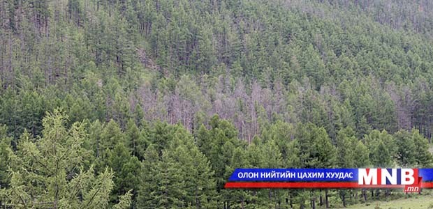 “Монгол ой” шүлгийн уралдаан зарлалаа