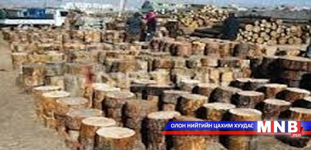 Өнөөдөр хууль бус мод бэлтгэлийн талаар ярилцана