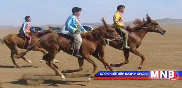 Бооцоот морин уралдааны хууль боловсруулж байна