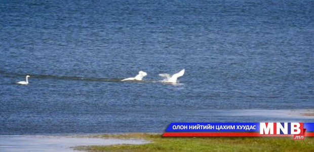 Увс нуурыг хамгаалахад хамтран ажиллана