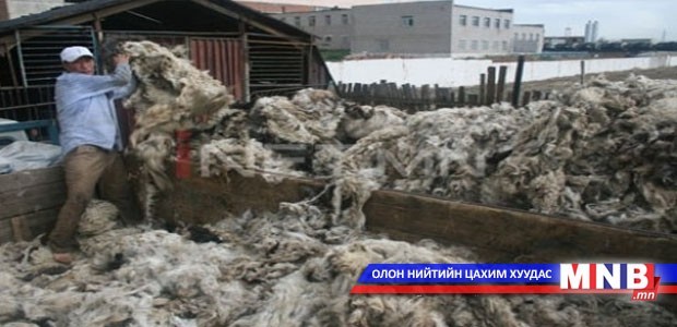 Малчид ноолуураа 80.000-85.000 төгрөгөөр өгч байна