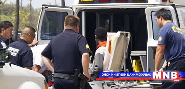 16 настай хүү онгоцонд "туулайчилжээ"