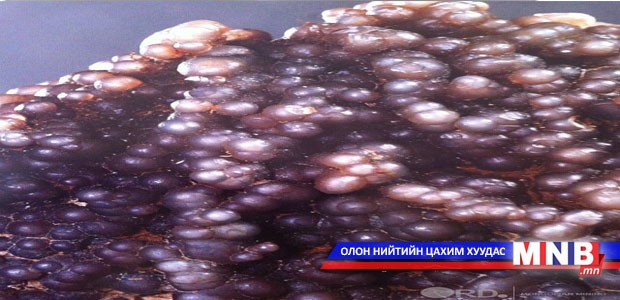 Үзмэн мана чулууг хилээр гаргахыг завджээ
