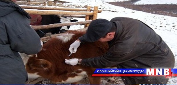 Шүлхийн хорио цээрийн дэглэмийг цуцлалаа