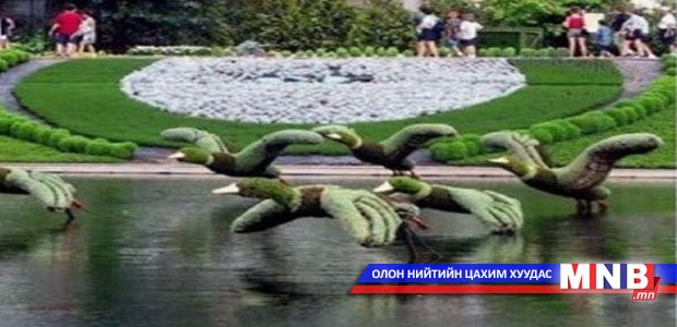 Цэцэрлэгжүүлэгчдийн улсын зөвлөлгөөн болно