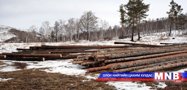 Ерөнхийлөгч хууль бус мод бэлтгэлтэй тэмцэнэ
